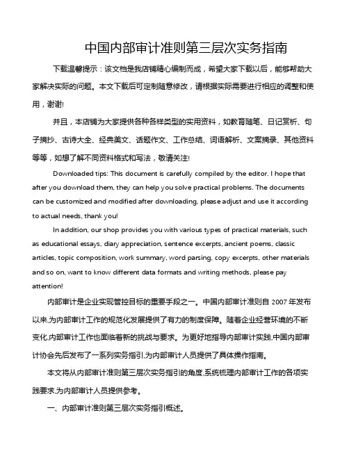 中国内部审计准则第三层次实务指南