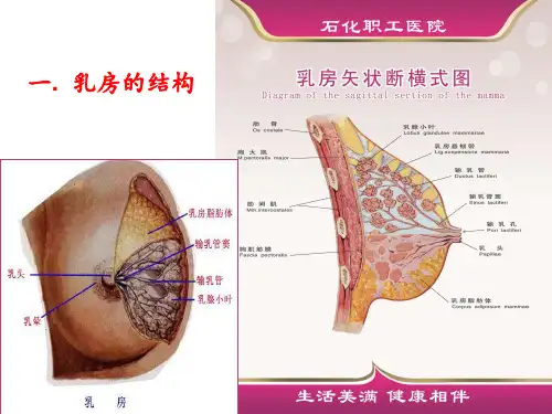 医学专题孕妇学校母乳喂养指导