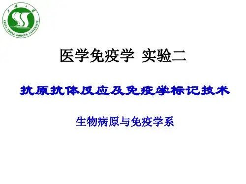 细菌的凝集试验原理