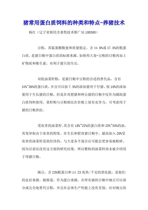 猪常用蛋白质饲料的种类和特点 - 养猪技术