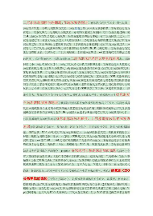 好氧池常见问题及解决方案