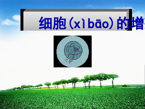 人教版高中生物必修一第六章第一节细胞的增殖说课课件39张 2文档
