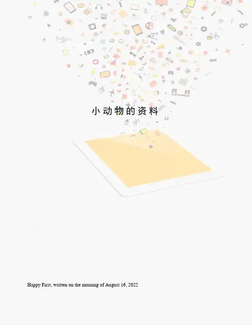 小动物的资料