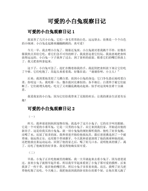可爱的小白兔观察日记