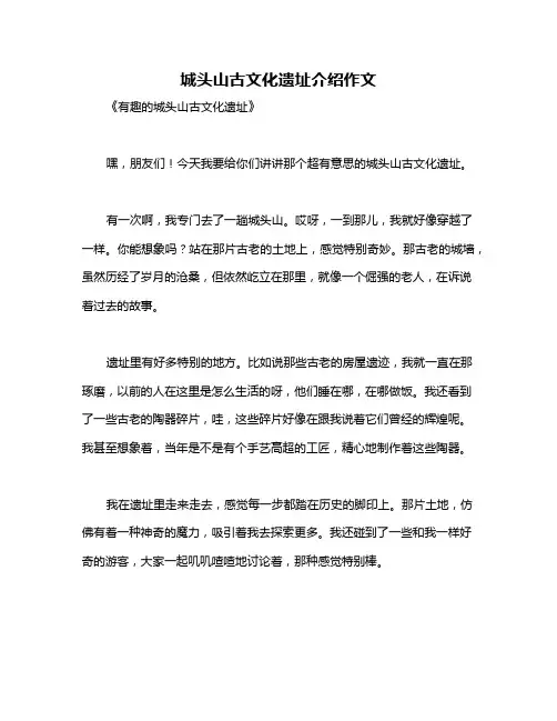 城头山古文化遗址介绍作文
