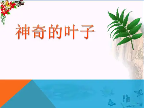 科学四年级上册1.3《神奇的叶子》PPT课件(上课用)