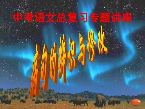 中考语文总复习专题讲座之病句的辨识与修改PPT课件