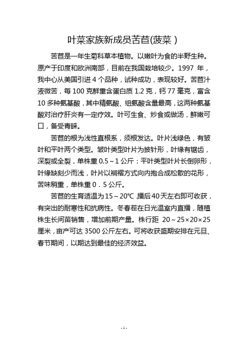 叶菜家族新成员苦苣(菠菜)