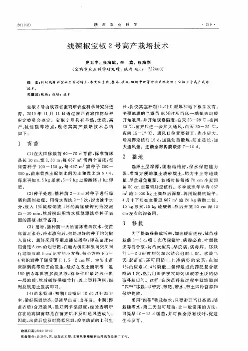线辣椒宝椒2号高产栽培技术