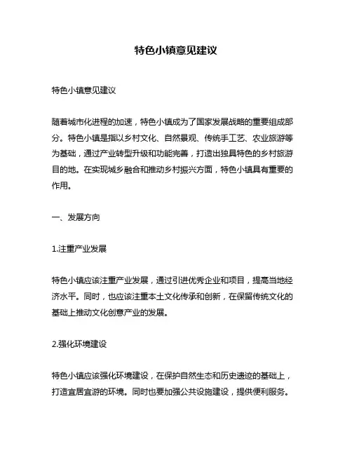 特色小镇意见建议
