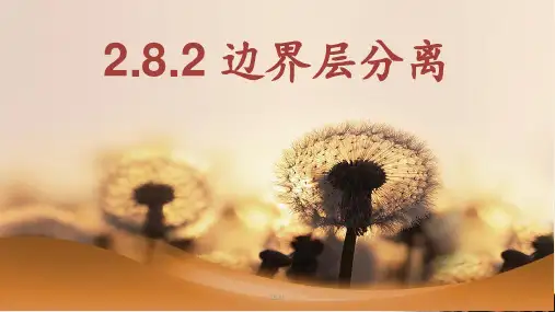 2.8.2-边界层分离PPT课件