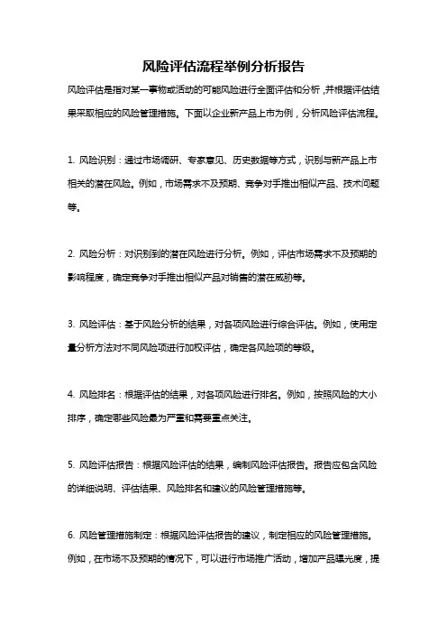 风险评估流程举例分析报告