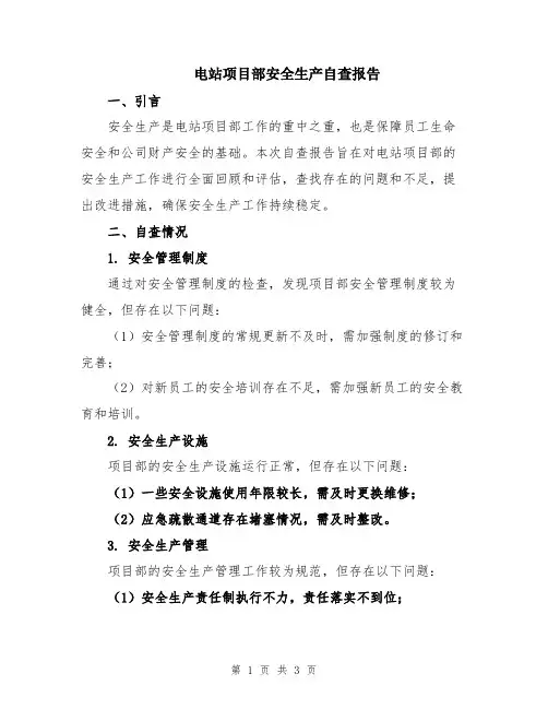 电站项目部安全生产自查报告