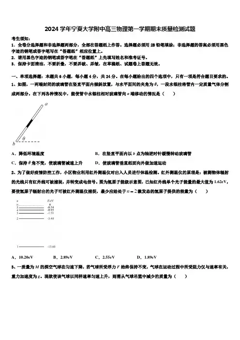 2024学年宁夏大学附中高三物理第一学期期末质量检测试题含解析
