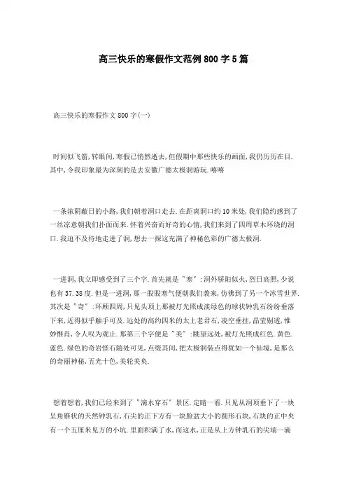 高三快乐的寒假作文范例800字5篇