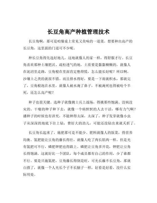 长豆角高产种植管理技术
