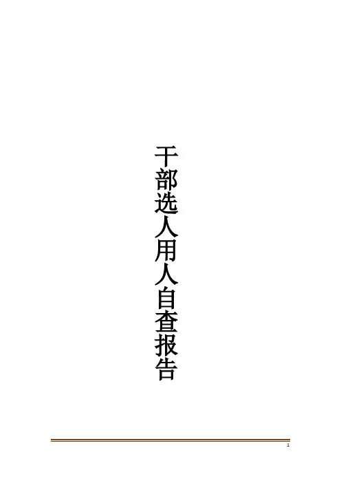 干部选人用人自查报告