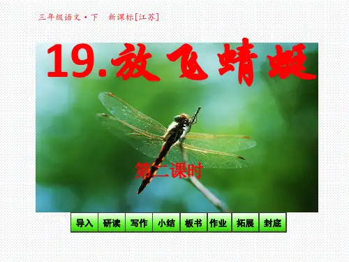 苏教版三年级语文下册课件-19放飞蜻蜓 第二课时