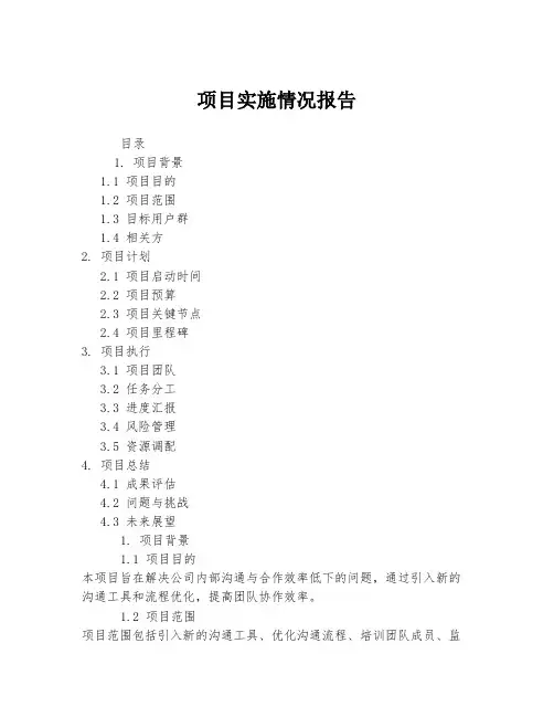 项目实施情况报告