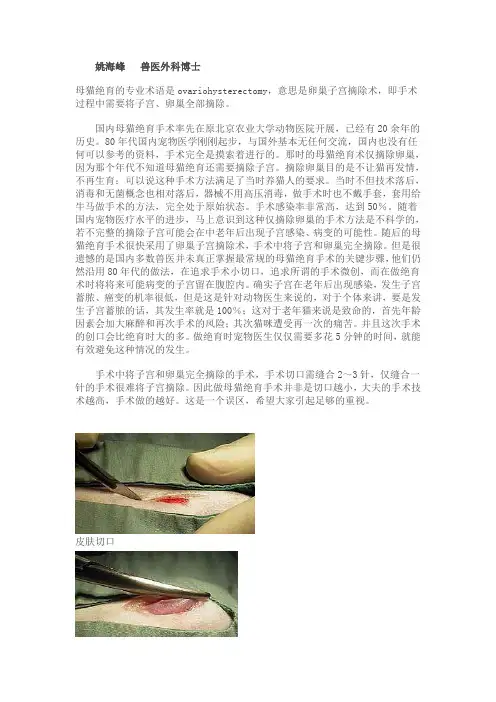 母猫绝育