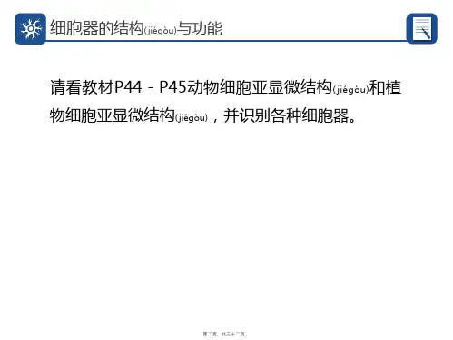 医学专题细胞器的亚显微结构和功能28304