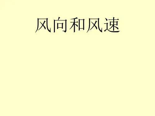 四年级上册科学风向和风速教科版 (7)