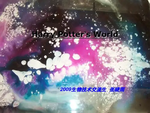 大学英语课前演讲《Harry Potter》(课堂PPT)