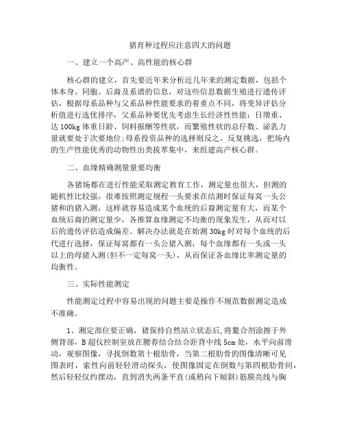 猪育种过程应注意四大的问题
