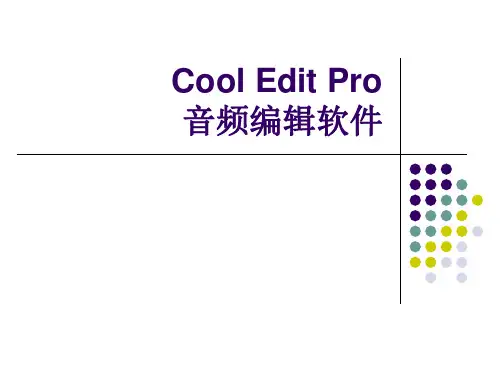 Cool Edit Pro 使用指南
