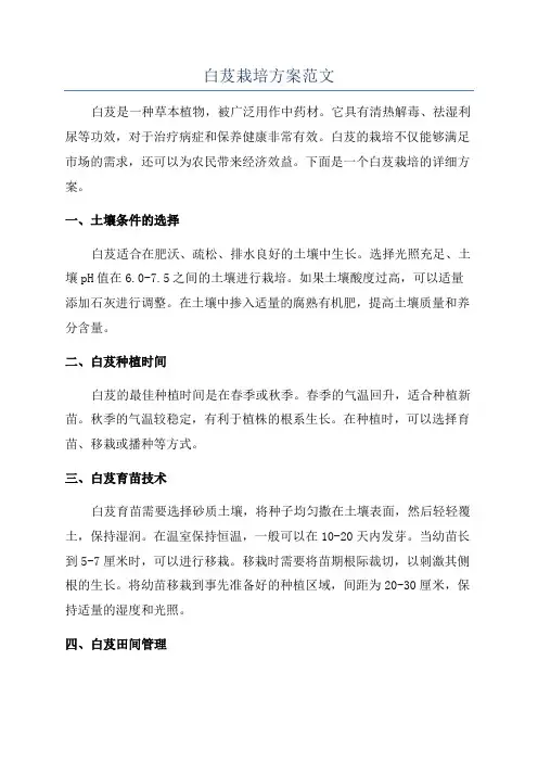 白芨栽培方案范文