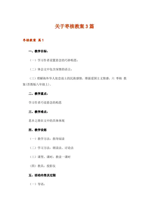 关于枣核教案3篇