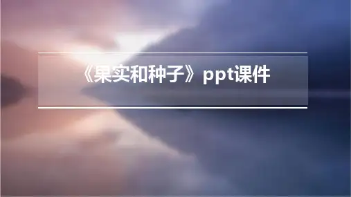 《果实和种子》课件