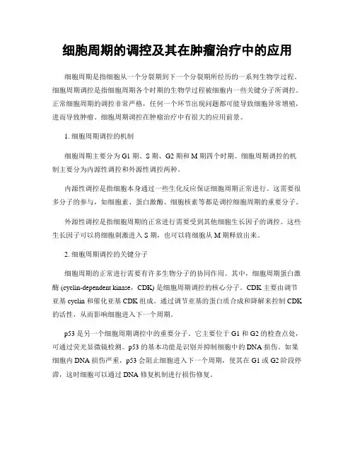 细胞周期的调控及其在肿瘤治疗中的应用