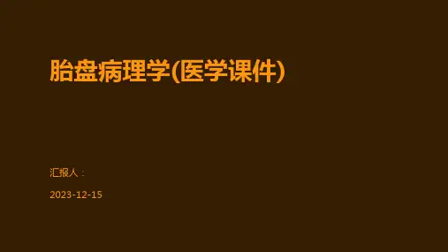 胎盘病理学(医学课件)
