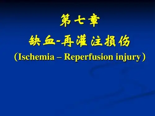 缺血再灌注损伤PPT课件