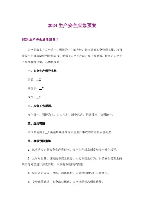 2024年生产安全应急预案