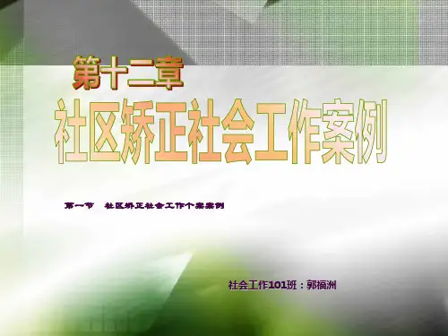 社区矫正社会工作个案案例ppt课件