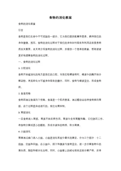 食物的消化教案