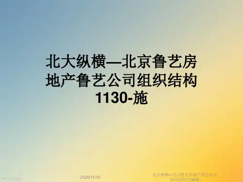 北大纵横—北京鲁艺房地产鲁艺公司组织结构1130施