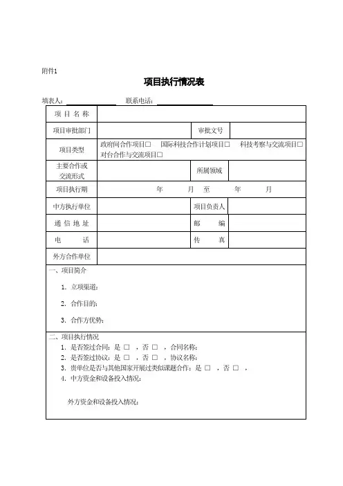 项目执行情况表