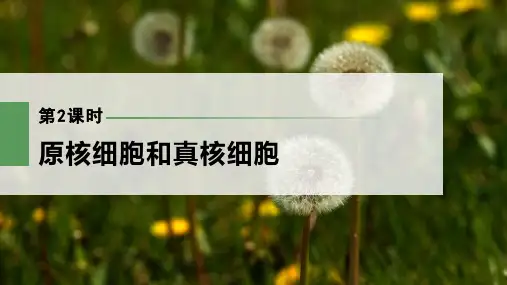 2022-2023学年 人教版   必修一  原核细胞和真核细胞 课件 (55张)