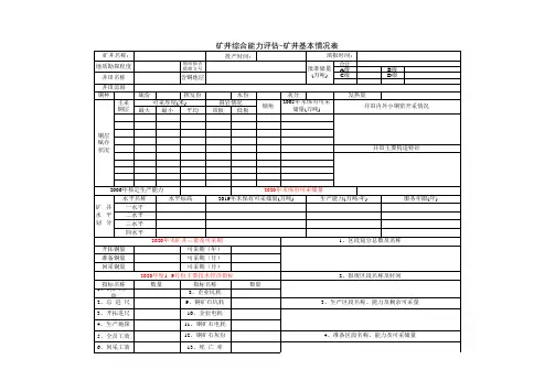 铜业公司综合能力评估-铜业公司基本情况表