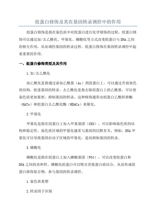 组蛋白修饰及其在基因转录调控中的作用