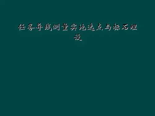 任务导线测量实地选点与标石埋设