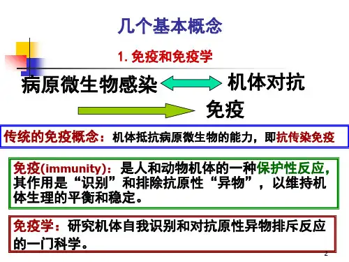 免疫学方法及其应用PPT课件