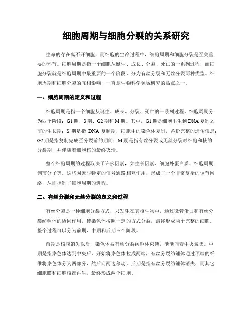 细胞周期与细胞分裂的关系研究