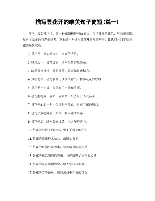 描写昙花开的唯美句子简短(精选合集2篇)