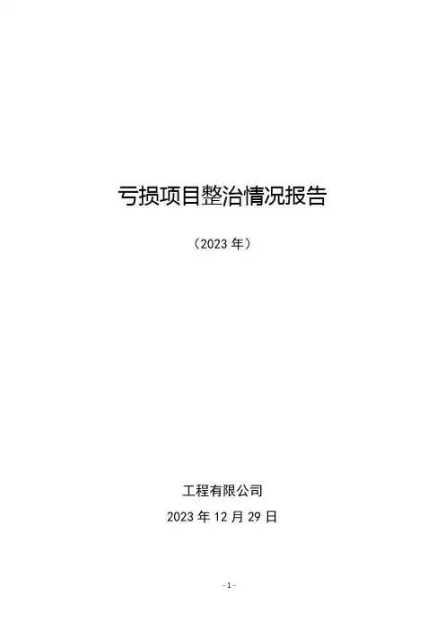 2023年亏损项目整治情况报告