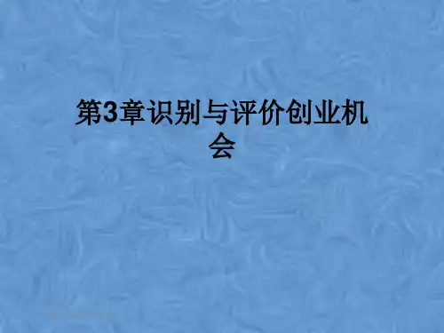 第3章识别与评价创业机会