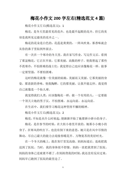 梅花小作文200字左右(精选范文4篇)